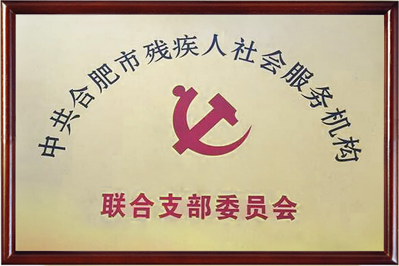 中共合肥市殘疾人社會服務(wù)機構(gòu)